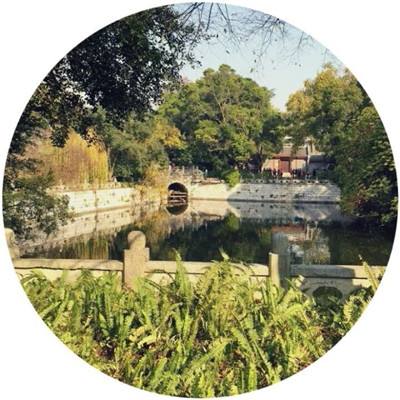 黑暗叛乱手游下载
