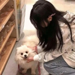 御龙在天4399版下载